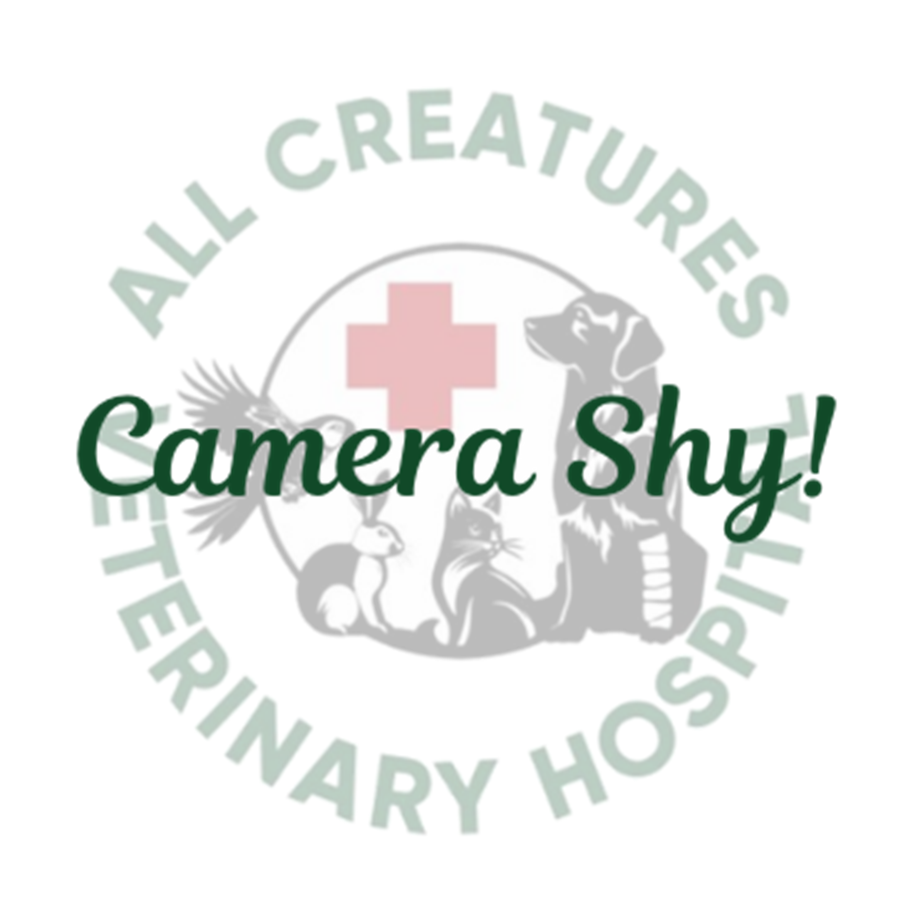 Profile for Natalia  Diaz